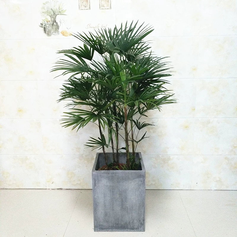 綠植租擺